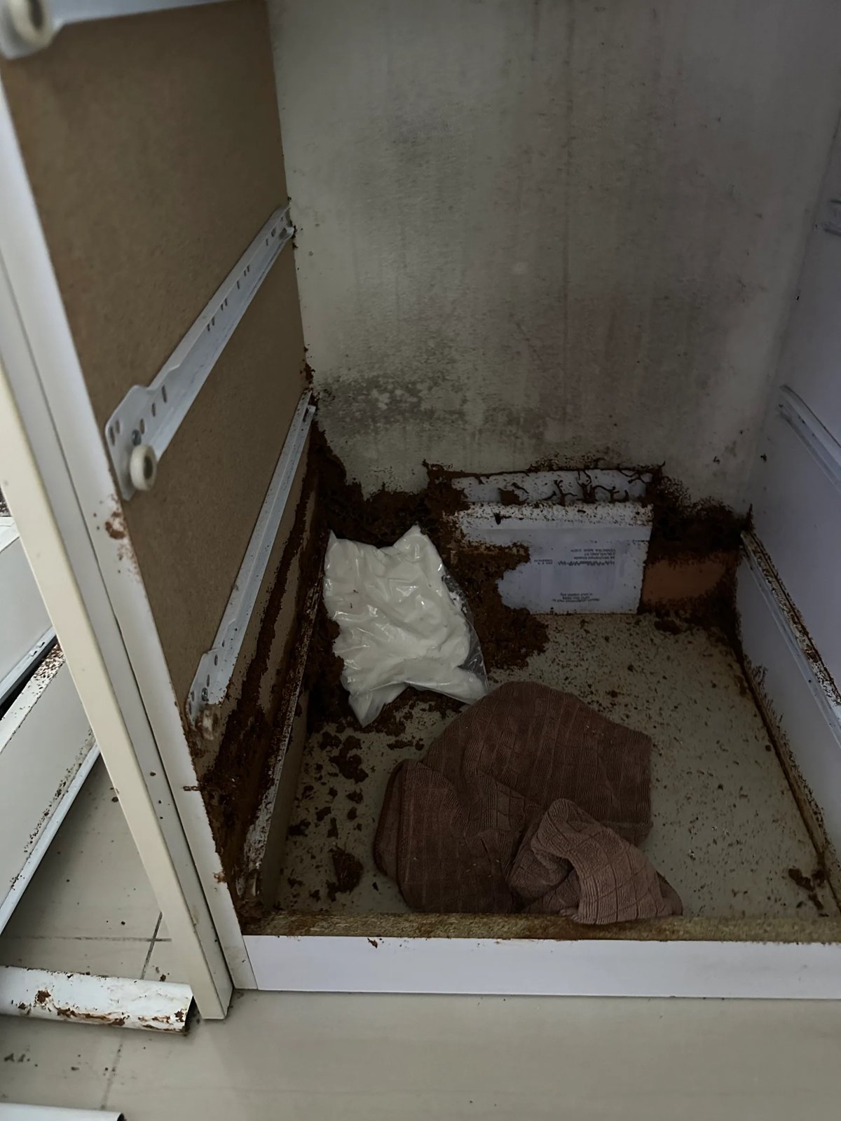 Pest Control work by Kassem Pest Control, NSW (photo 4 of 6)
