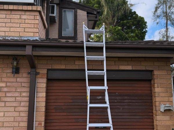 Pest Control work by PestGuard Sydney, NSW (photo 1 of 2)