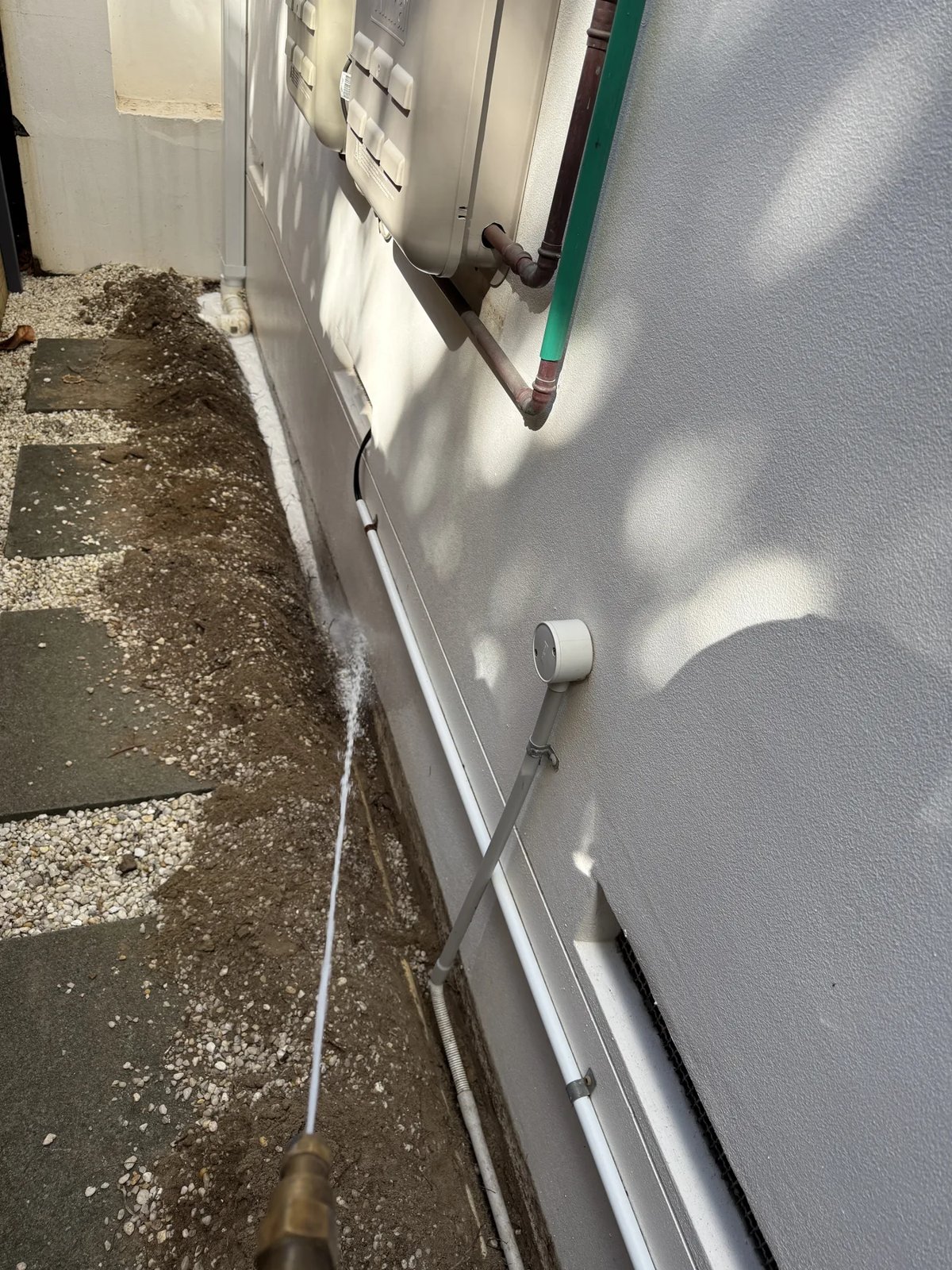 Pest Control work by Goliath Pest Solutions, NSW (photo 2 of 2)