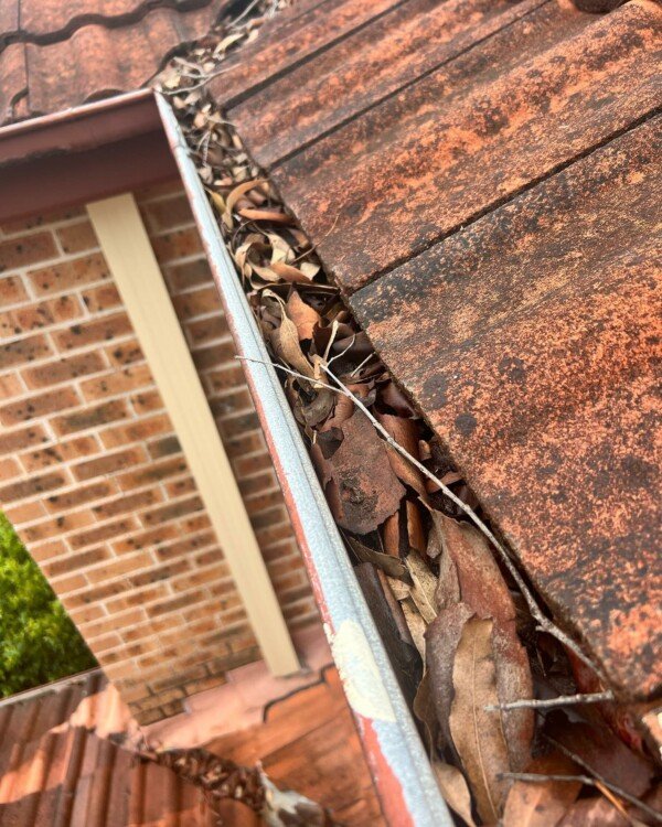 Roofing & Gutters work by GutterFix, NSW (photo 3 of 6)