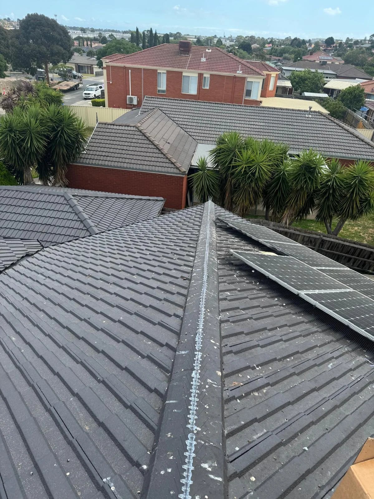 Pest Control work by Pest Hunter, Bulleen VIC (photo 2 of 2)