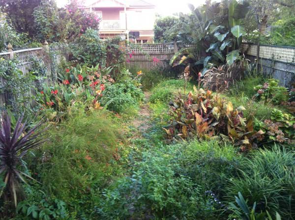 Landscaping work by Appleseed Gardening, NSW (photo 1 of 2)