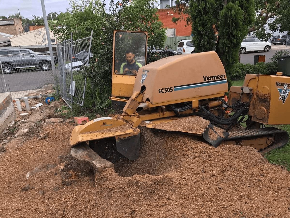 Tree & Stump Removal work by Dan's Tree Services, NSW (photo 4 of 4)