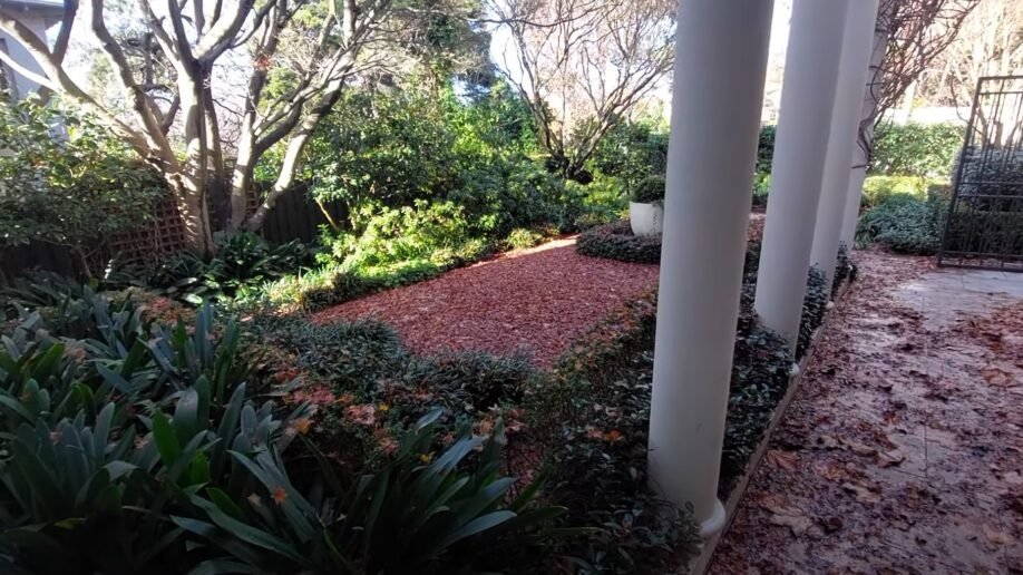 Lawn & Mowing work by Weeds n' Wonders, Eaglemont VIC (photo 5 of 6)