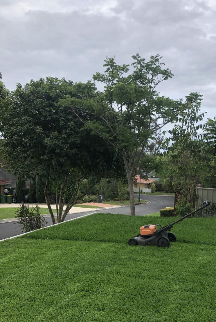 Lawn & Mowing work by Clean Green Mowing, QLD (photo 4 of 4)