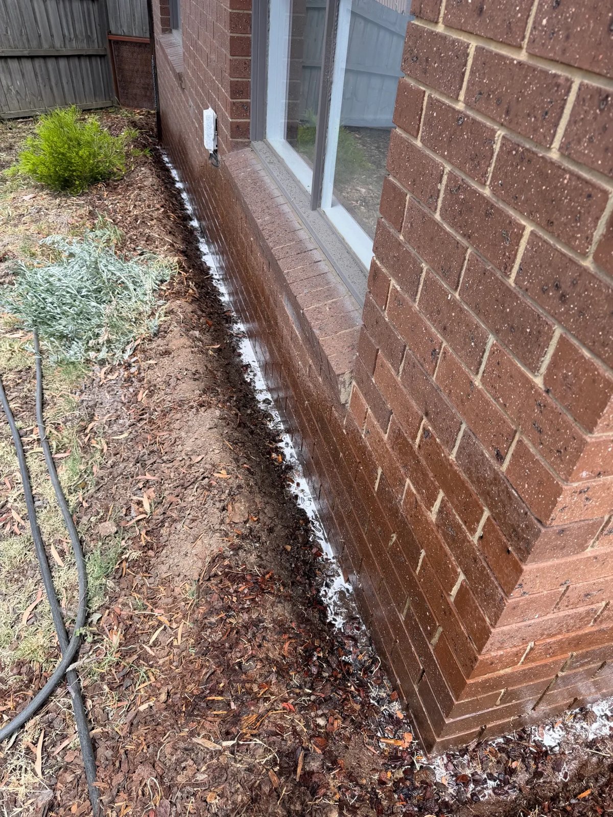 Pest Control work by Max Force Pest Control, VIC (photo 4 of 4)