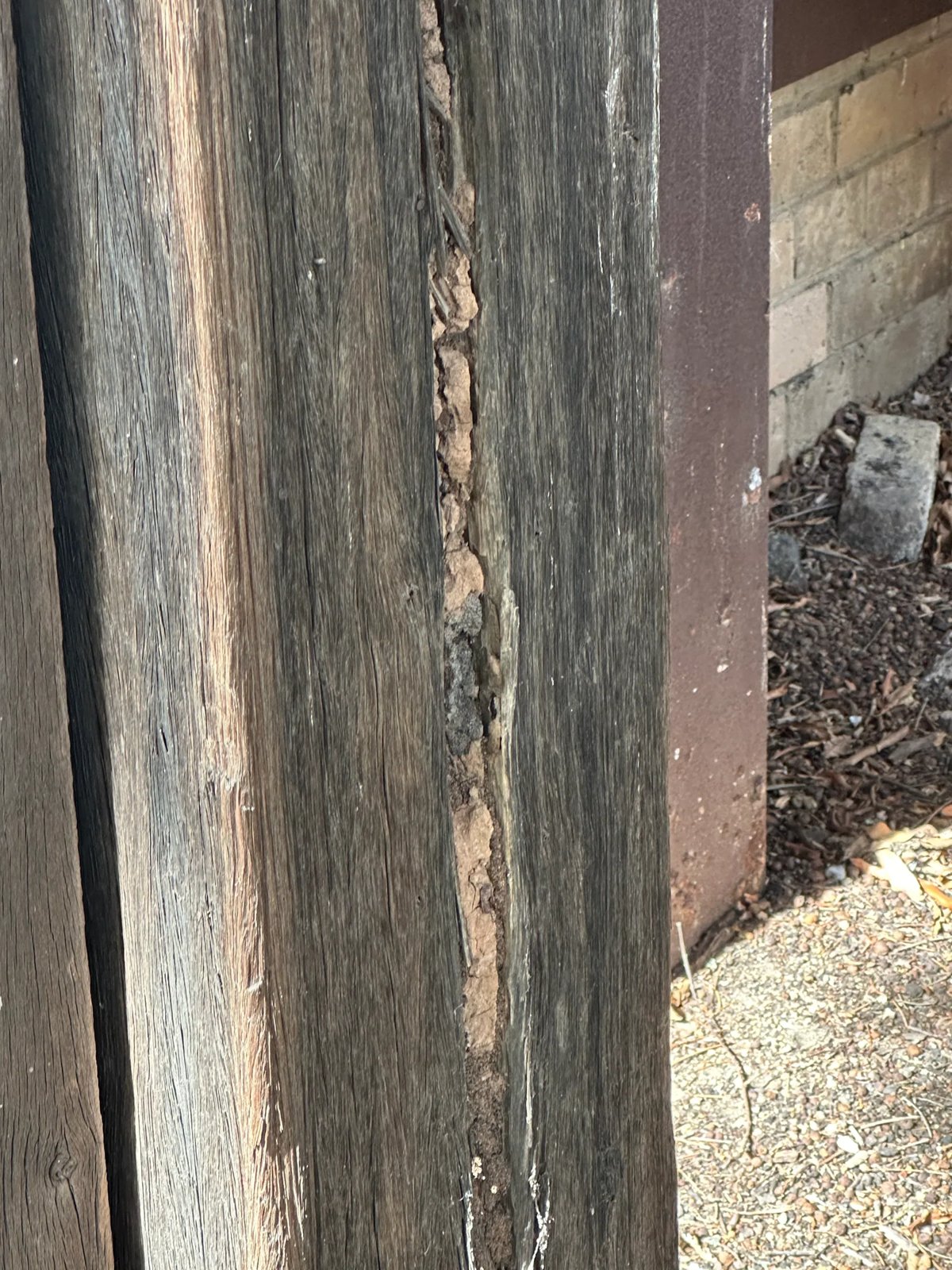 Pest Control work by Kassem Pest Control, NSW (photo 1 of 6)