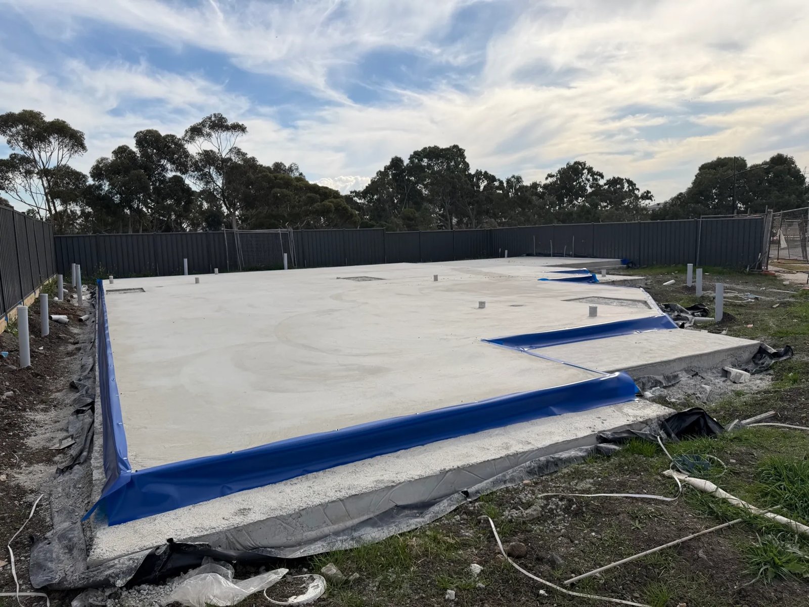 Pest Control work by Max Force Pest Control, VIC (photo 5 of 7)