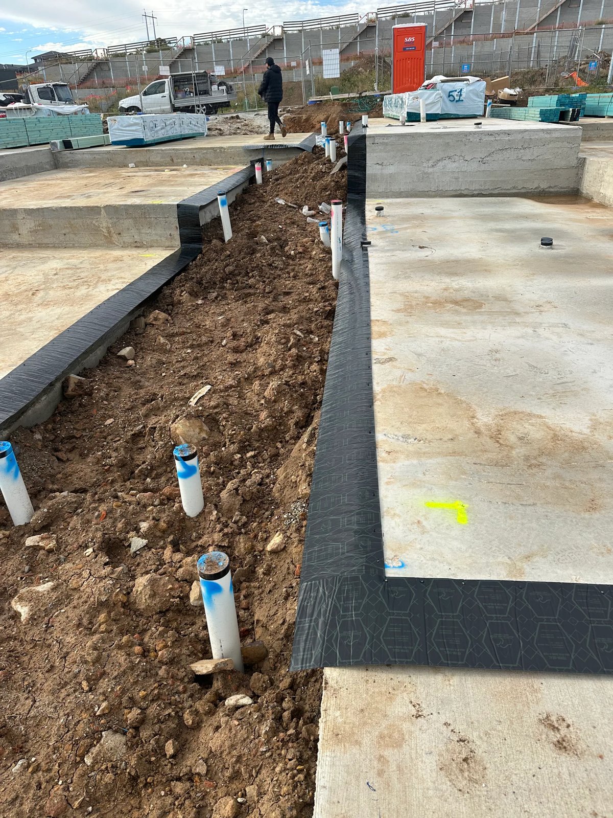 Pest Control work by Kassem Pest Control, NSW (photo 6 of 6)