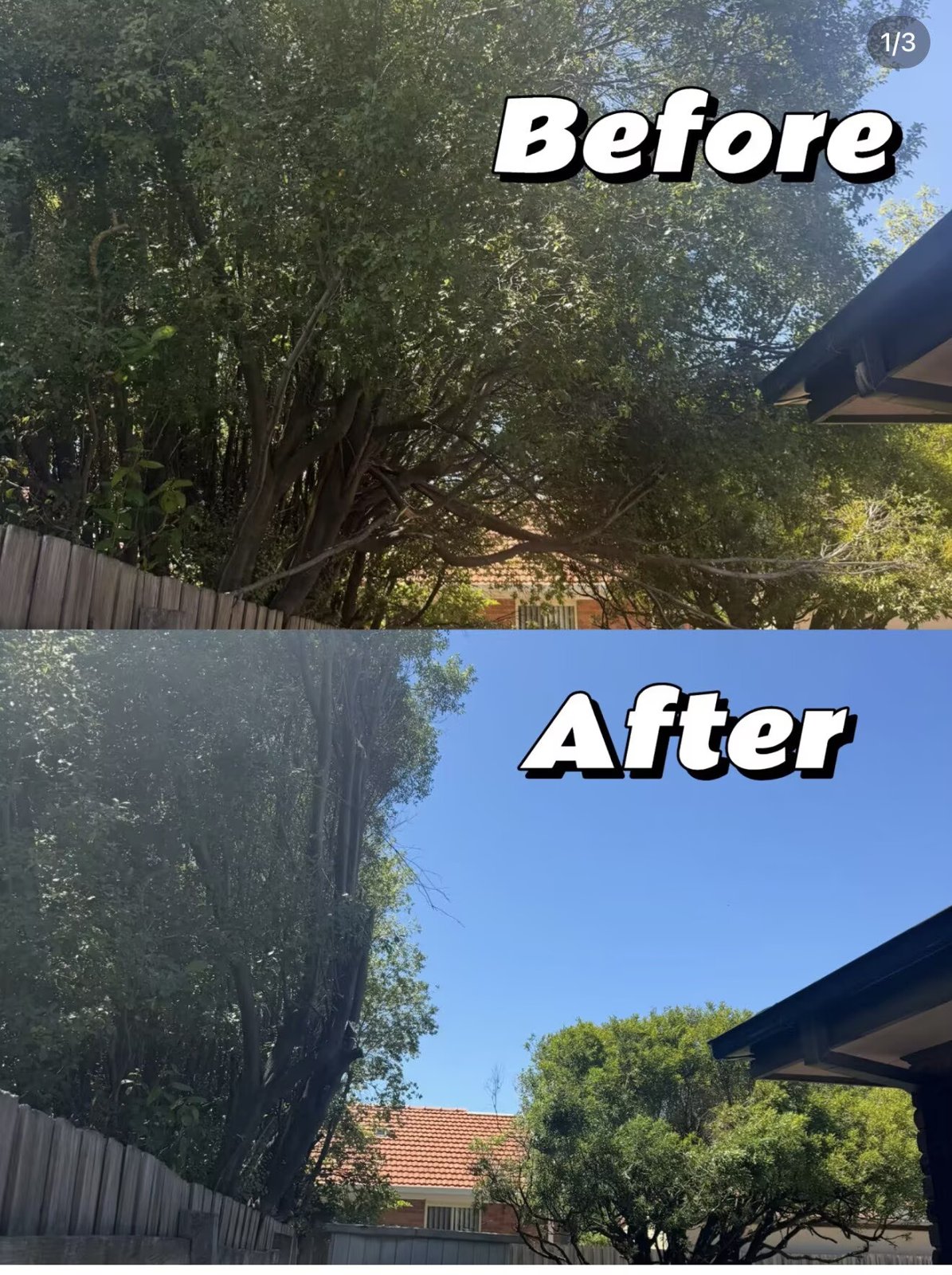 Tree & Stump Removal work by Laoma Garden Services, Box Hill VIC (photo 2 of 2)