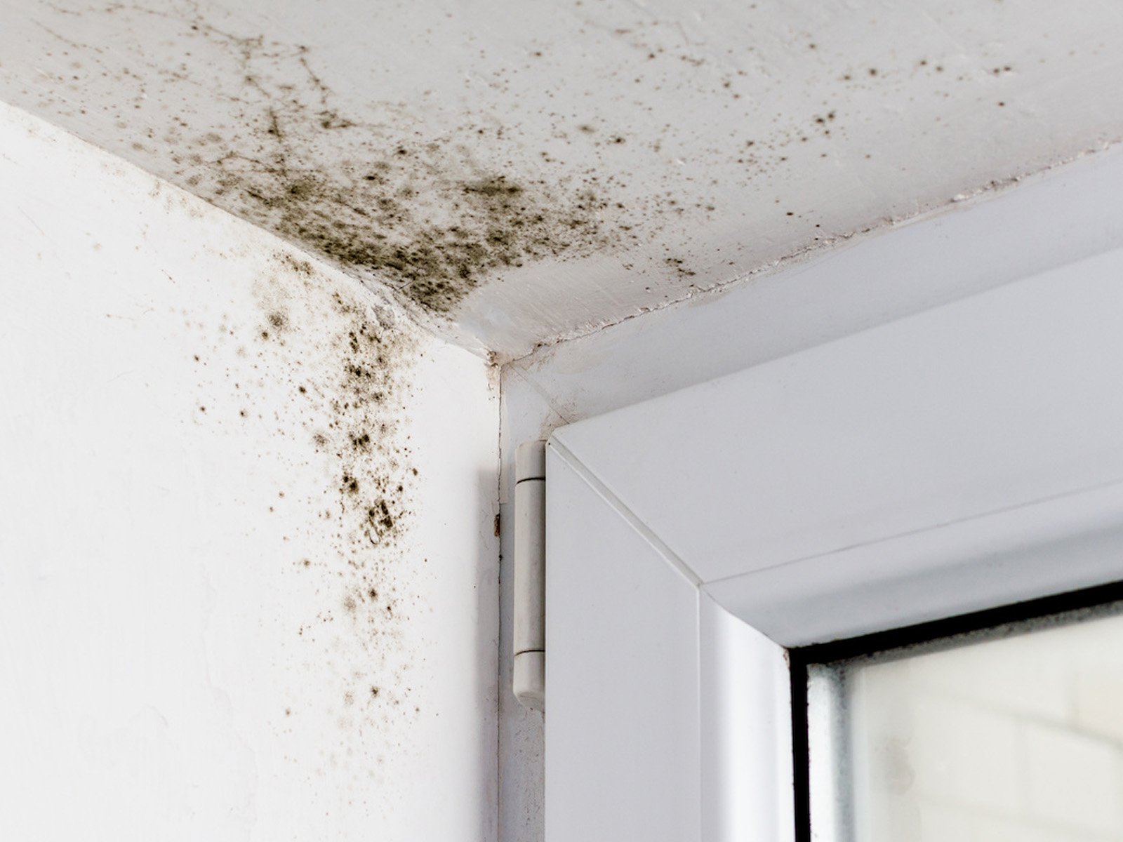Painter work by Brushworks Painting and Maintenance, NSW