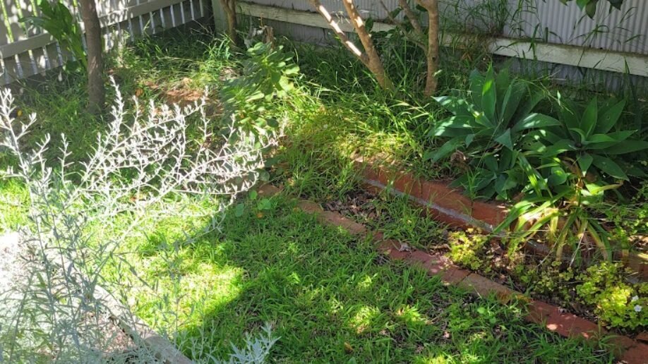 Landscaping work by Weeds n' Wonders, Eaglemont VIC (photo 3 of 4)