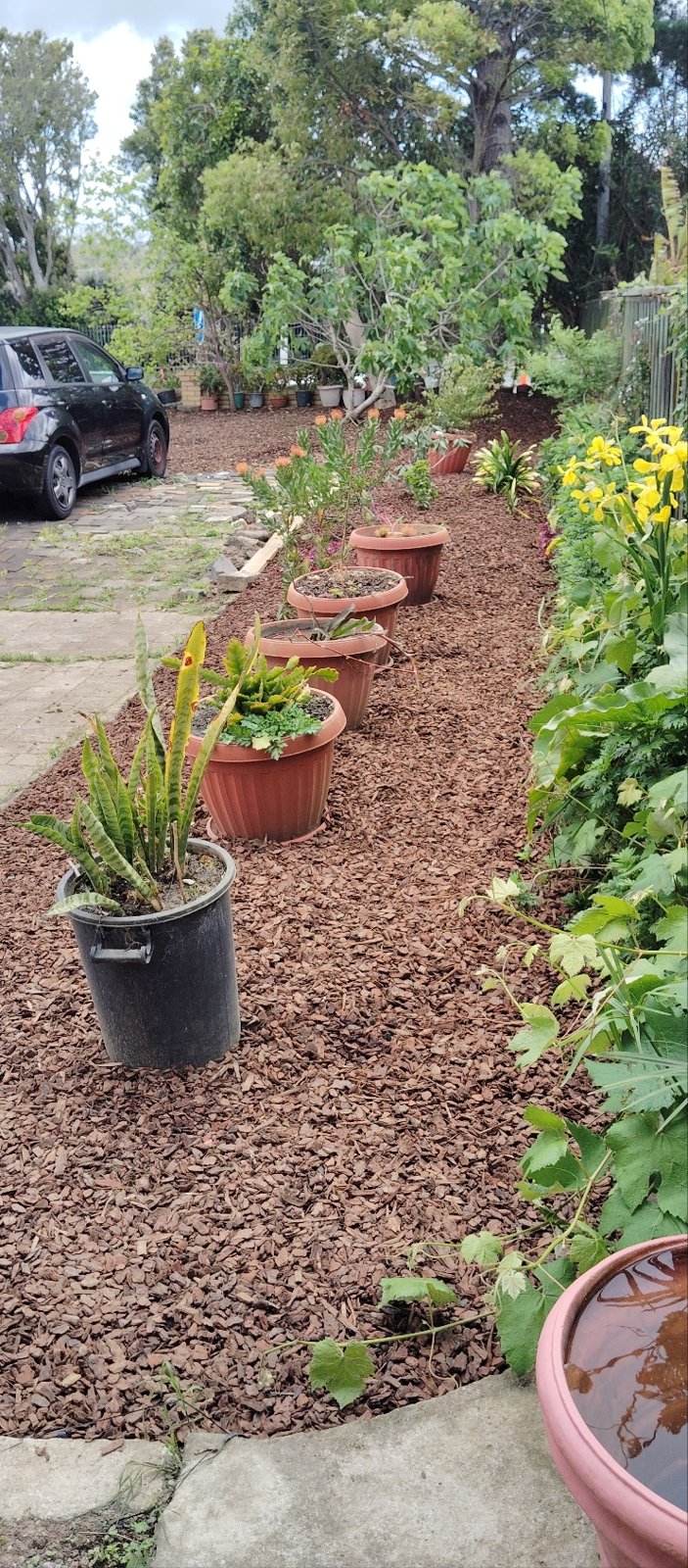 Landscaping work by ProProject, Morley WA (photo 1 of 2)