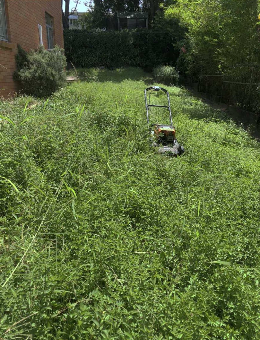 Lawn & Mowing work by Clean Green Mowing, QLD (photo 3 of 5)