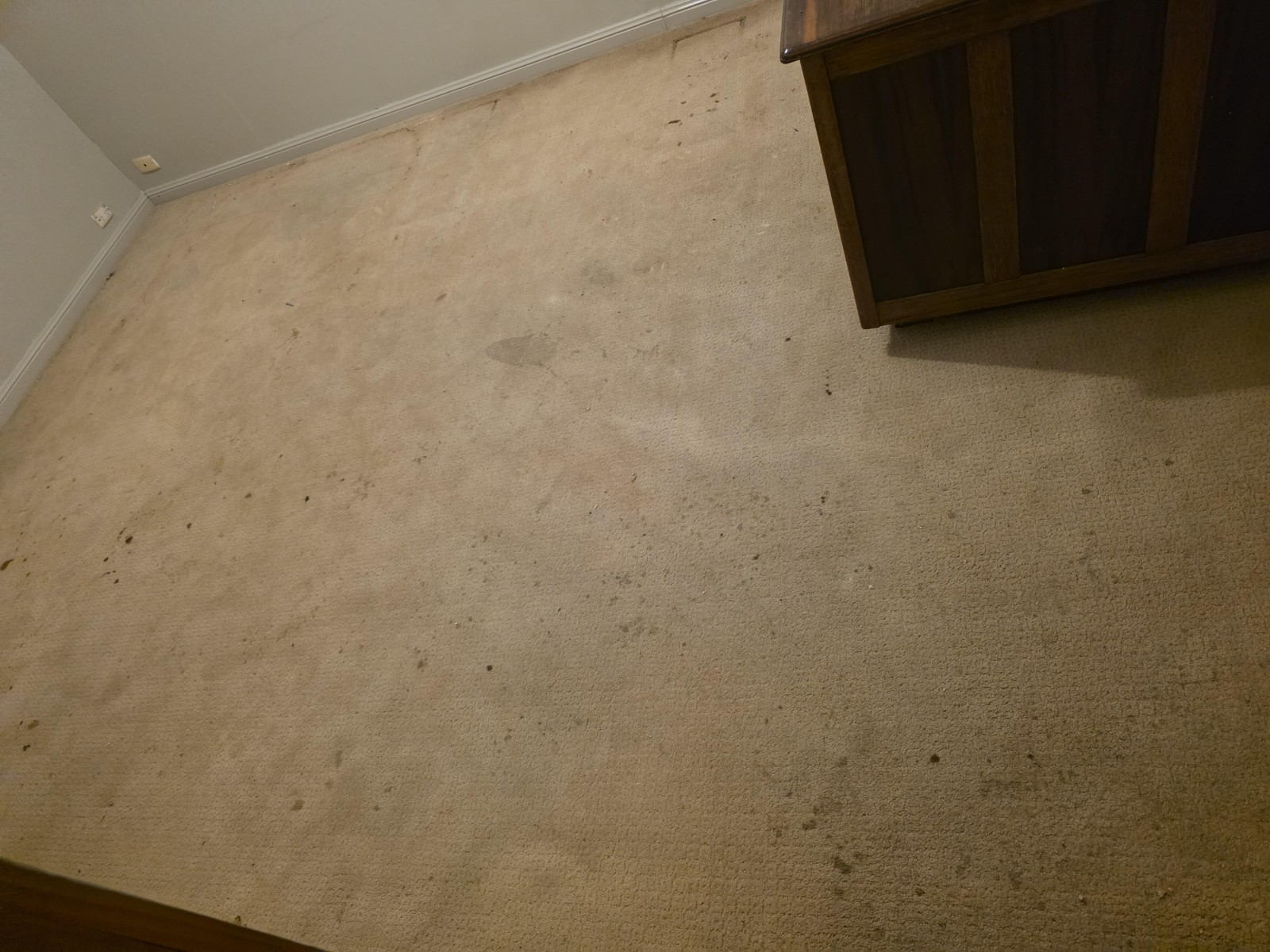 Carpet Cleaning work by Vincent Carpet Cleaning Adelaide, SA