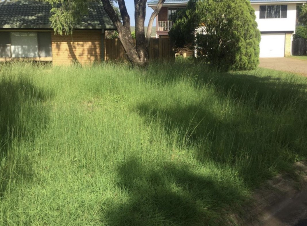 Lawn & Mowing work by Clean Green Mowing, QLD