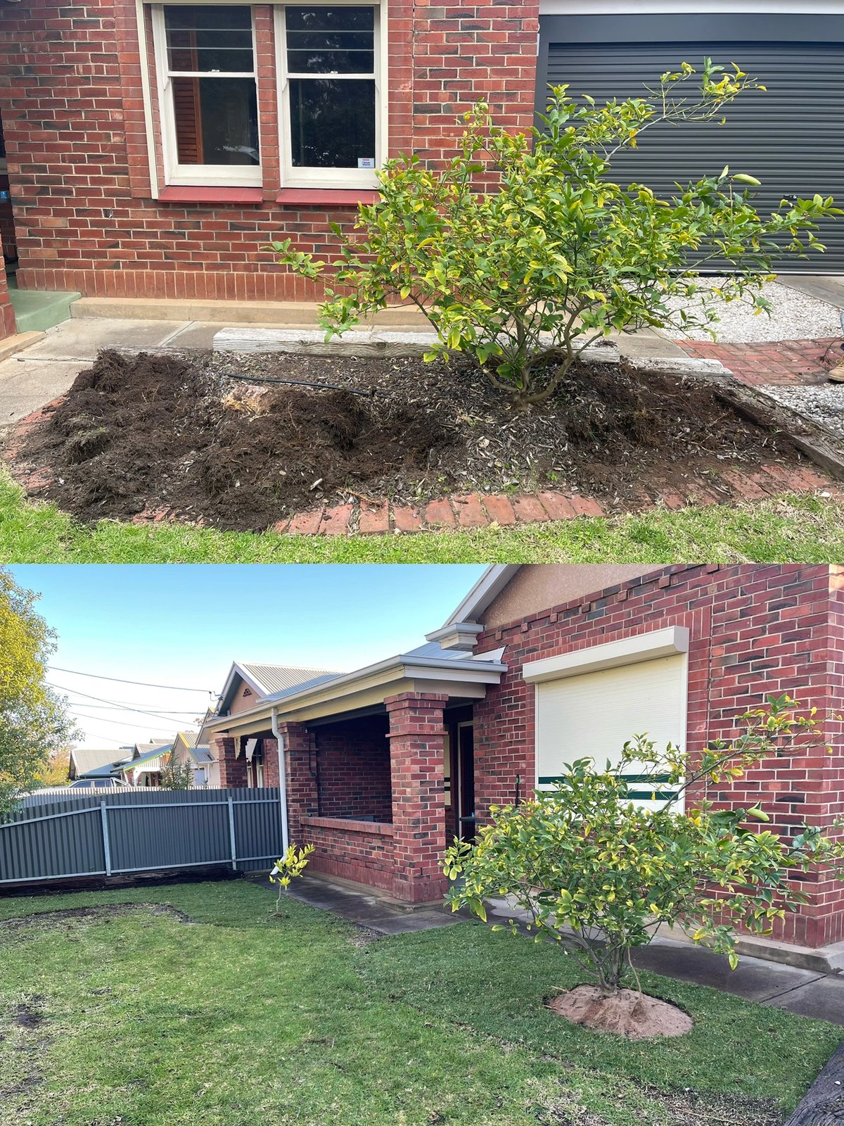 Landscaping work by Adelaide Landscaping, SA (photo 1 of 2)
