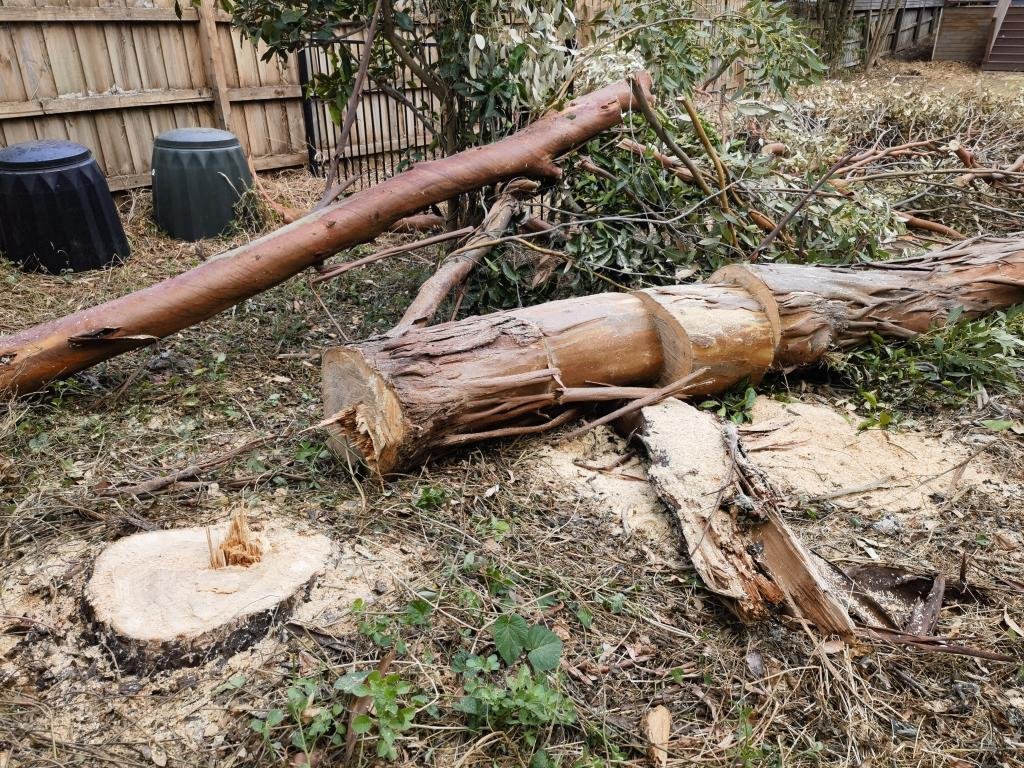 Tree & Stump Removal work by Box Hill Tree & Garden Care, Box Hill VIC (photo 4 of 5)