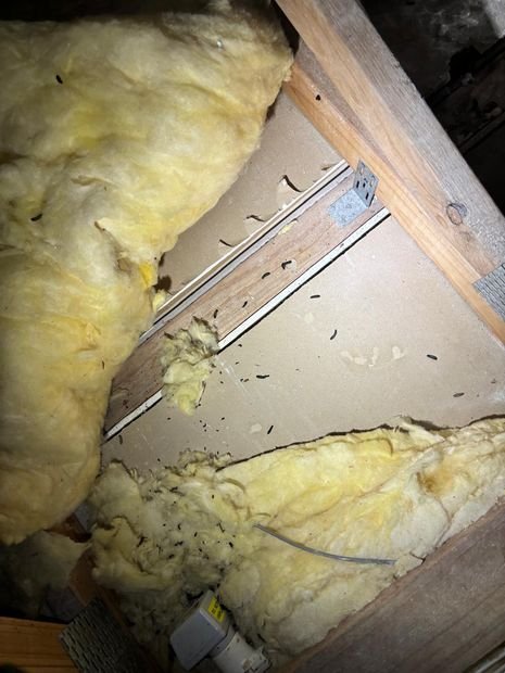 Pest Control work by Elite Pest and Termite Solutions, NSW