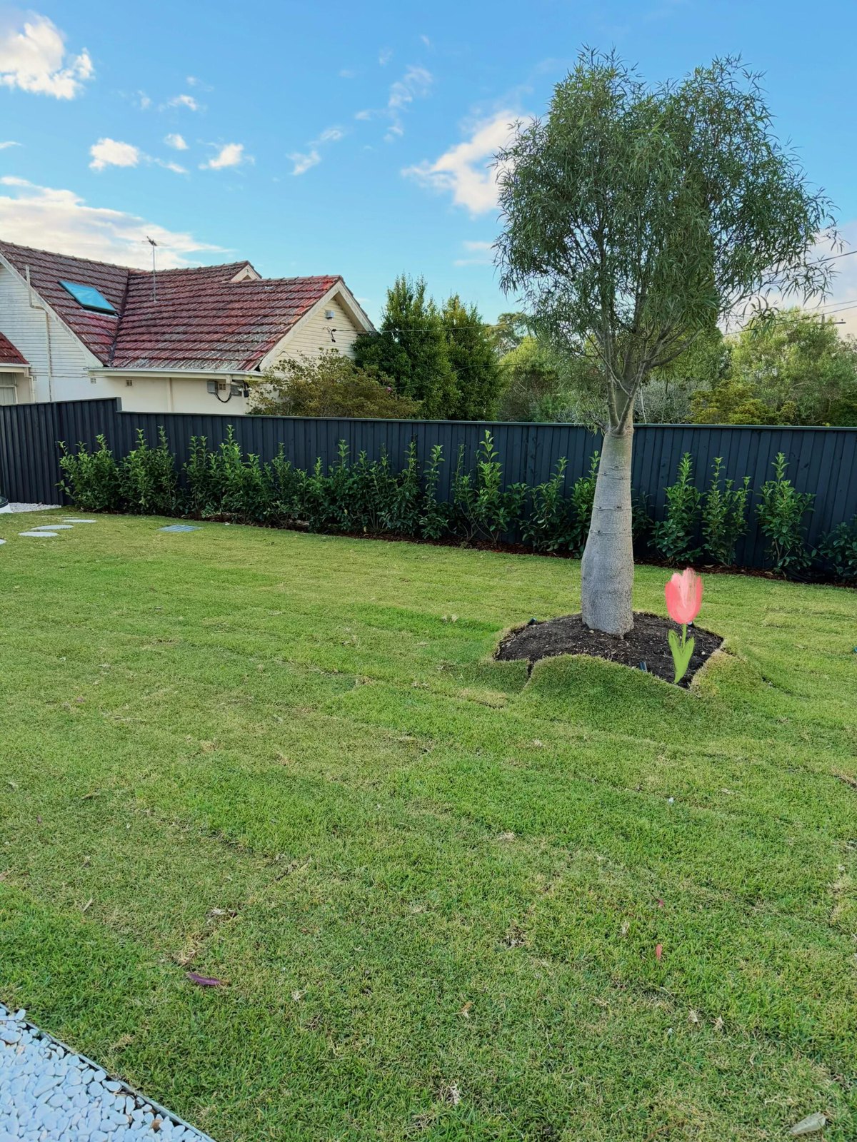 Landscaping work by The One Construction and Landscape, East Lindfield NSW