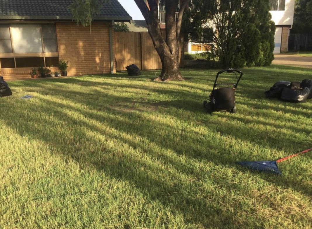 Lawn & Mowing work by Clean Green Mowing, QLD (photo 2 of 5)