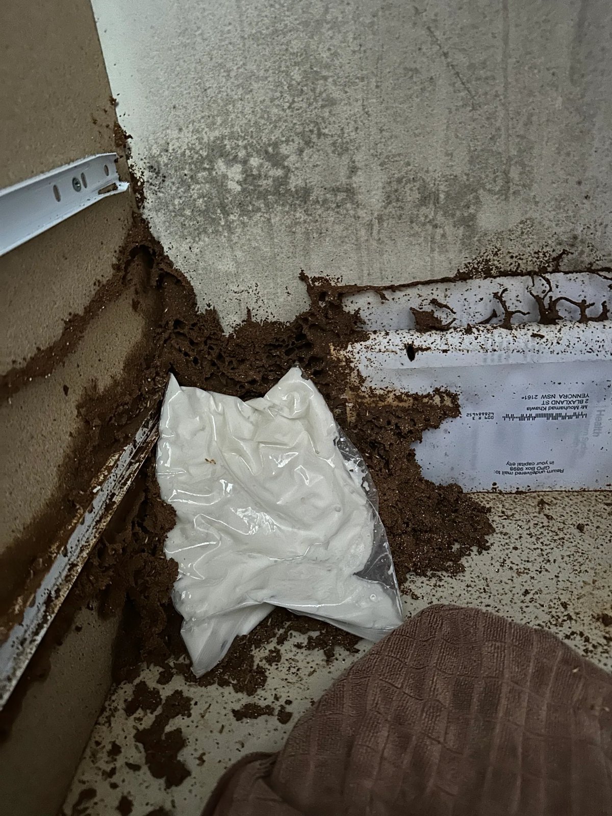 Pest Control work by Kassem Pest Control, NSW (photo 3 of 6)