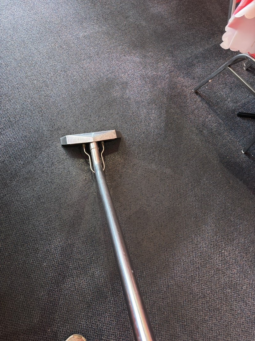 Carpet Cleaning work by Blackburn Carpet Steam Cleaning, Blackburn North VIC (photo 2 of 6)