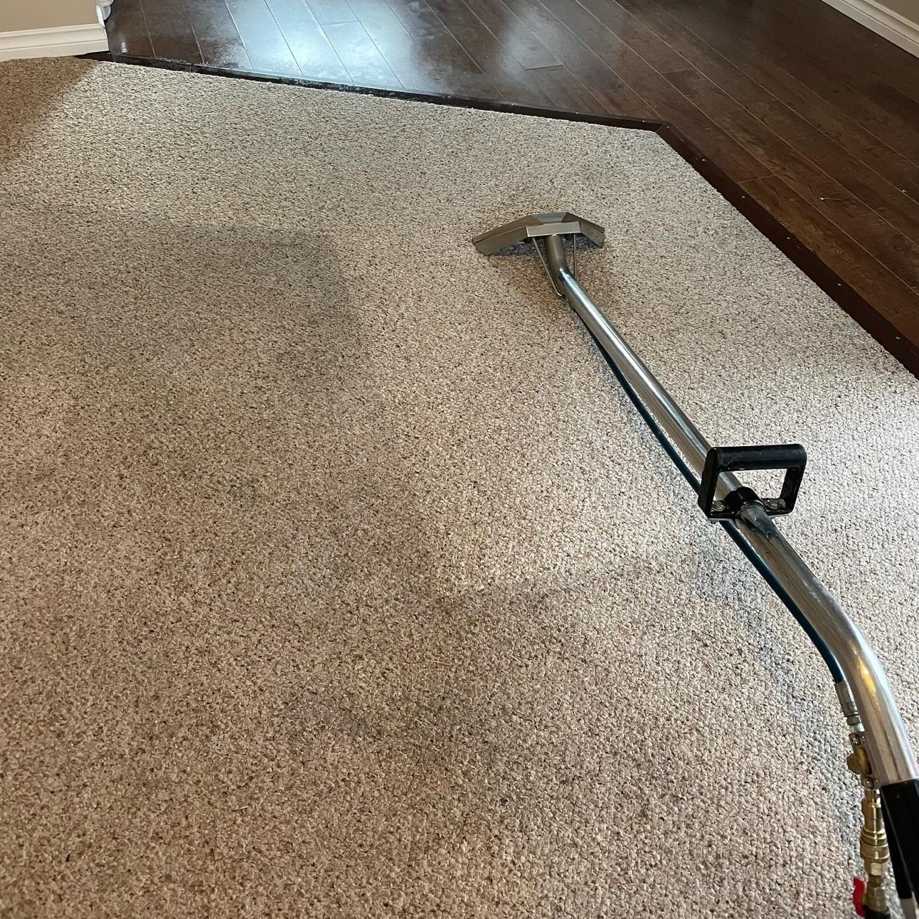 Carpet Cleaning work by SM Steam Cleaning, NSW (photo 2 of 3)
