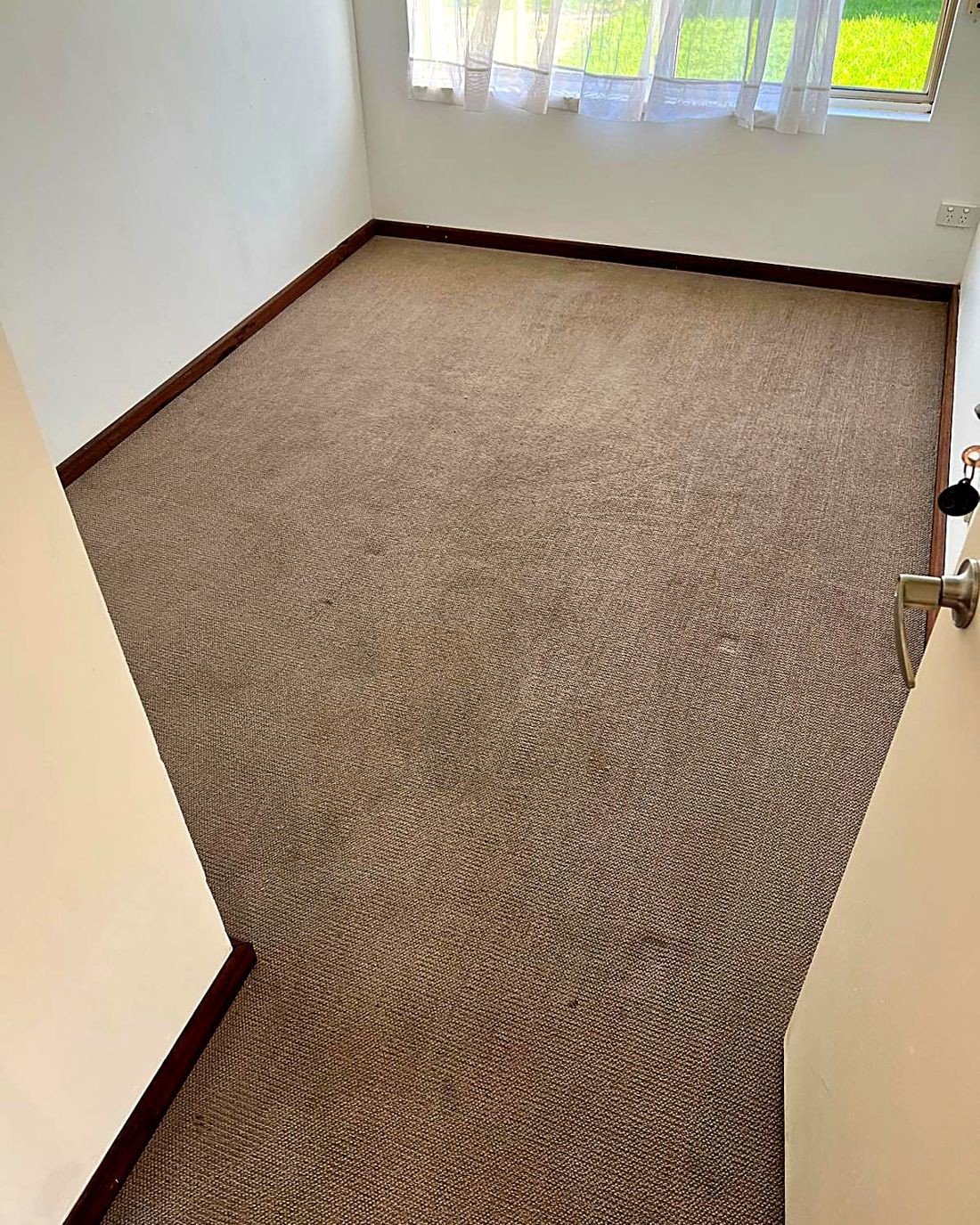 Carpet Cleaning work by ProFresh Carpet Cleaning, WA (photo 2 of 3)