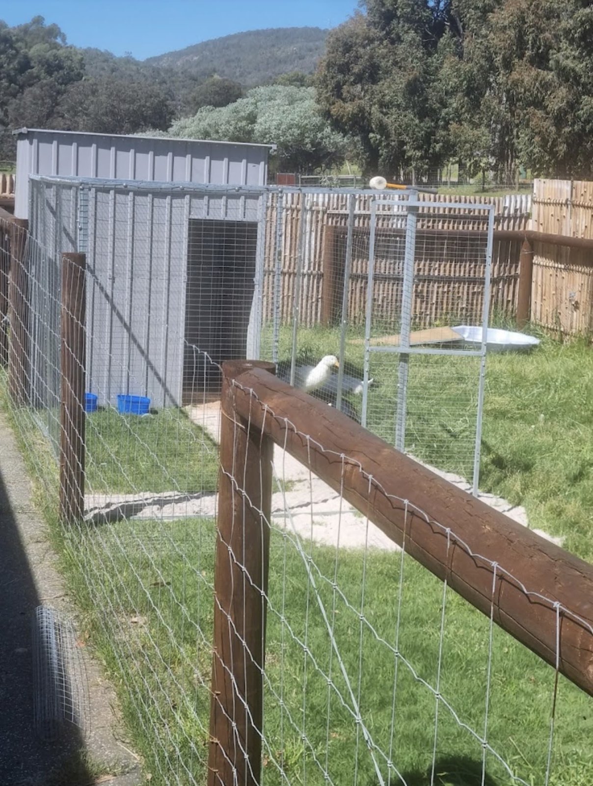 Handyman work by Daniel Macrone Handyman Services, Kwinana WA (photo 5 of 5)