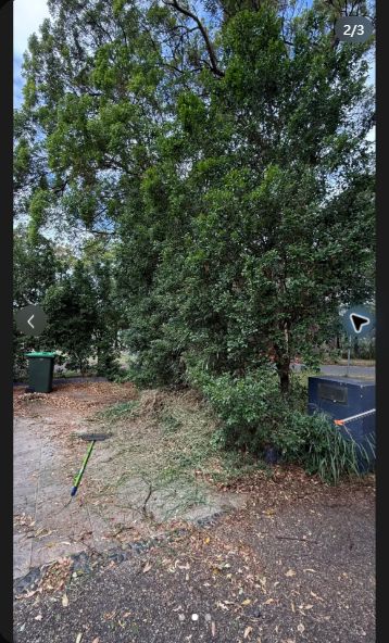 Lawn & Mowing work by Brisbane Lawn Mowing, QLD
