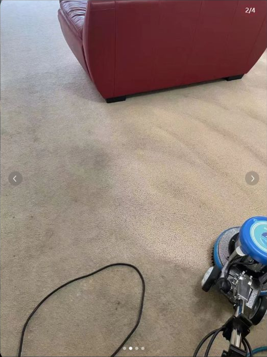 Carpet Cleaning work by Sydney Carpet Cleaning, NSW (photo 2 of 2)